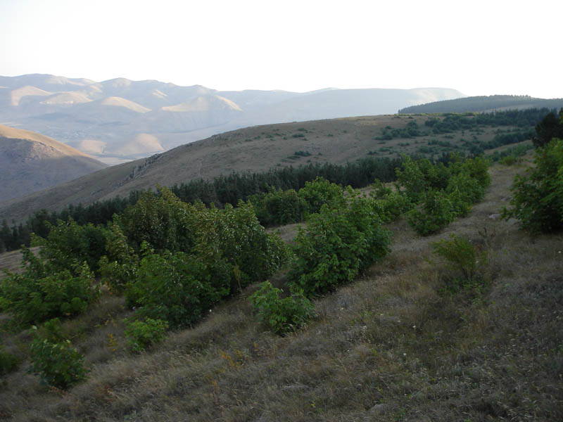 DSC01649