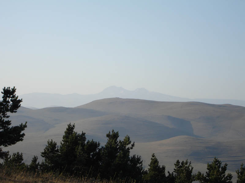 DSC01665