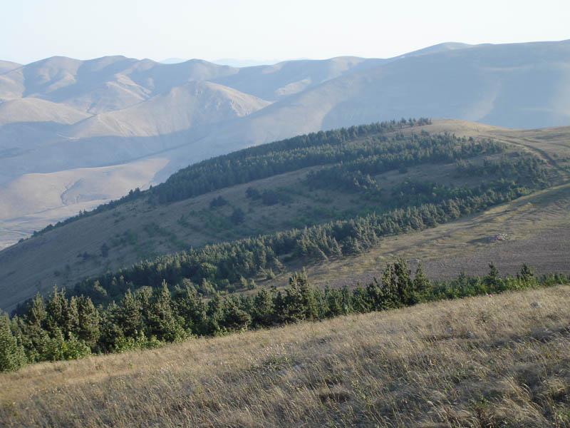 DSC01666