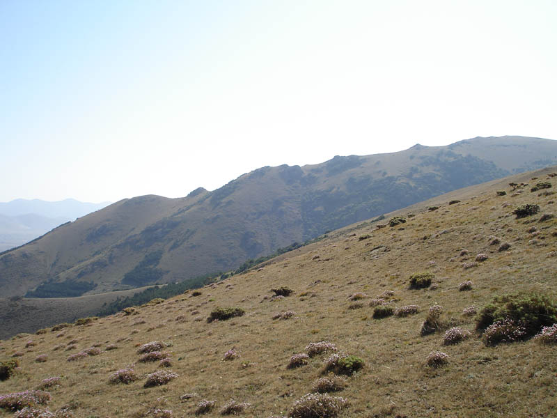 DSC01733