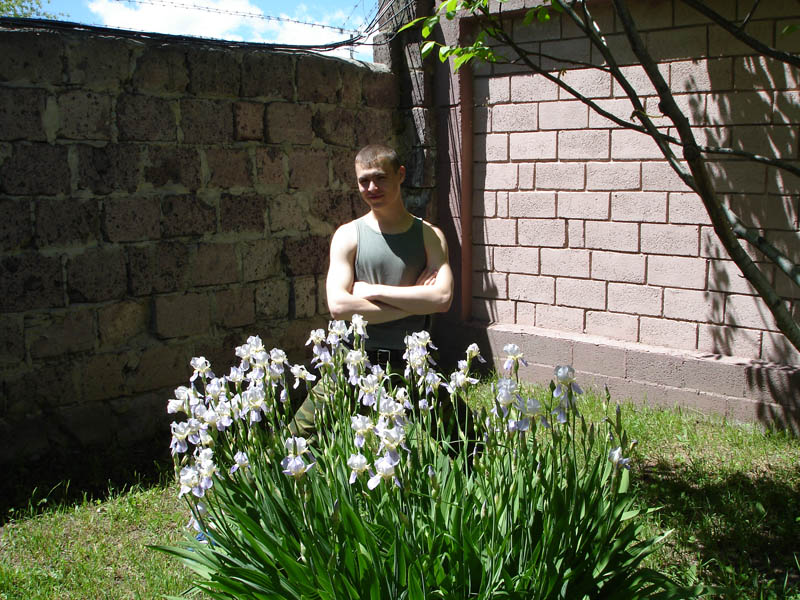 syutkin_oreh_3