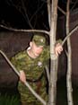 syutkin_oreh_2