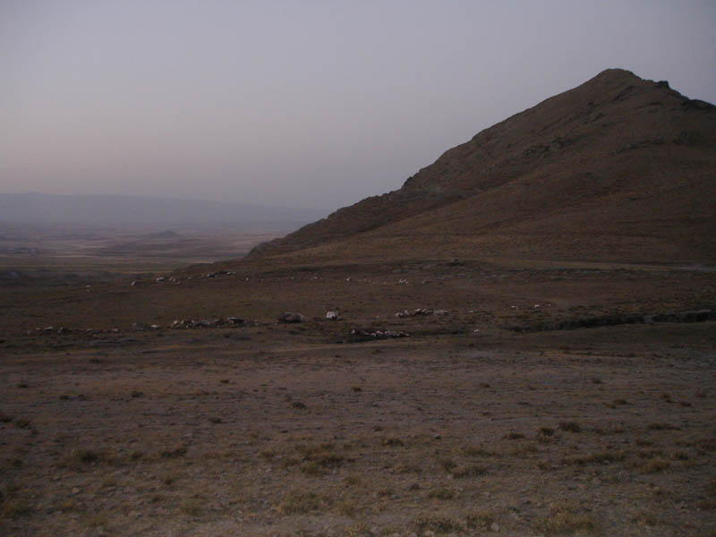 DSC01789