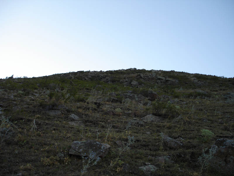 DSC01814