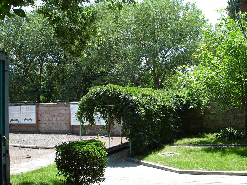 DSC01155