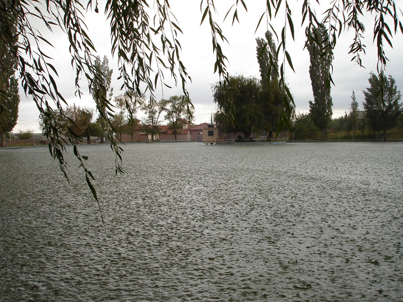 DSC02201